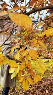 Sagt einfach Bescheid, muss eh noch paar Erledigungen in der Stadt machen 🤣🫶🏻😅

#schwangerschaft #schwangerschaftsfotografie #schwangerschaftsshooting #babybauch #babybauchshooting #portraitphotography #portrait #hochzeitsfotograf #fotografinbremen #familienfotografin #newbornfotografie #kirchwalsede #rotenburg #verden #achim