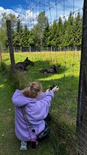 Ich finde, man sollte immer auf sein Bauchgefühl hören. Es muss auf beiden Seiten stimmen. Das gilt sowohl für den Fotografen als auch für den Kunden. Wenn beide Seiten zueinander passen, dann habt ihr euren Fotografen gefunden. Die Sache mit dem Budget klärt sich dann meist von selbst. Das ist auch kein Problem, denn man findet immer eine Lösung. Ich schreibe individuelle Angebote und wir können den Tag so gestalten, dass er für euch trotzdem am günstigsten ist. Ich habe einfach die Erfahrung aus unzähligen Hochzeiten, wie man das Beste rausholen kann, und ihr könnt euch auf eurem wirklich wichtigen Tag fokussieren. 🥹🫶🏻🥰❤️

#fotografinbremen #hochzeitsfotografin #familienfotografin #newbornfotografie #echtemomente #erinnerungenfürimmer #authentischfotografieren #kirchwalsede #rotenburg #achim #selbstständig #fotobusiness #realität #freelancerlife #wertderarbeit #kreativarbeit